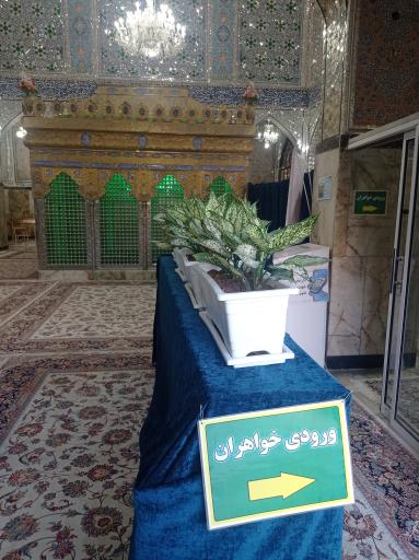 عکس امامزاده شاهزاده فاضل