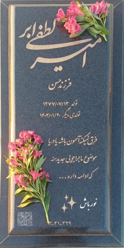 عکس مزار امیر لطفی ابر