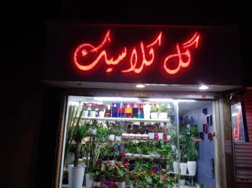 عکس گل کلاسیک