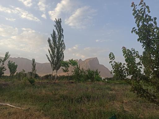 عکس کوه لجور