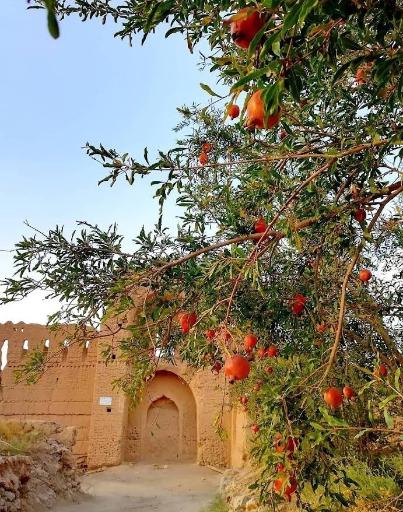 عکس قلعه حسینی تفت