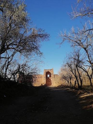 عکس قلعه حسینی تفت