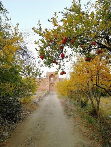 عکس قلعه حسینی تفت