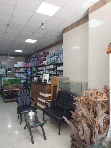 عکس آکواریوم چشم انداز آبی