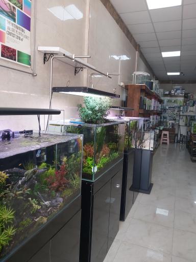 عکس آکواریوم چشم انداز آبی