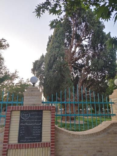 عکس پارک سرو