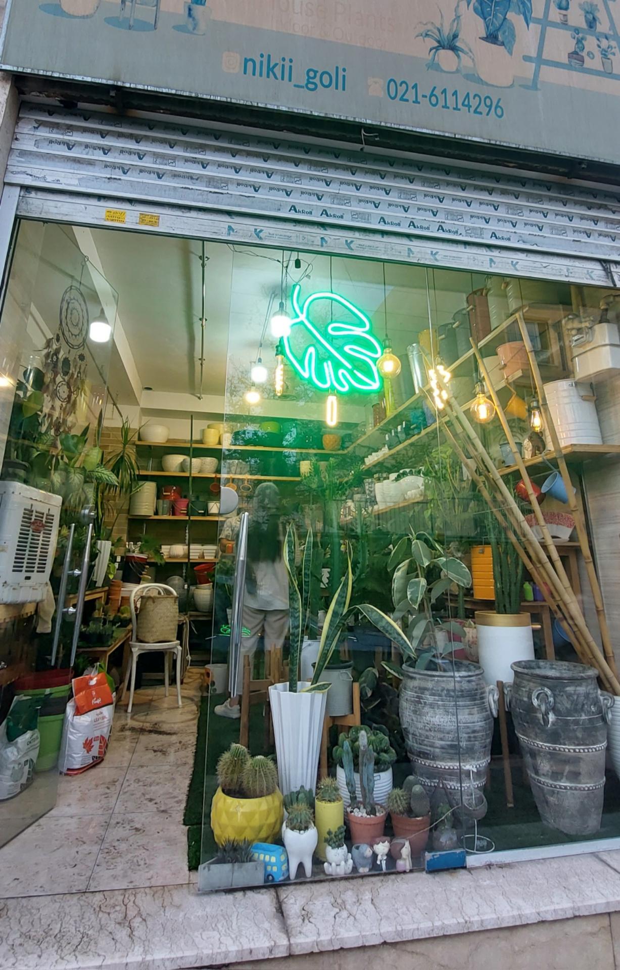 عکس فروشگاه گل نیکی