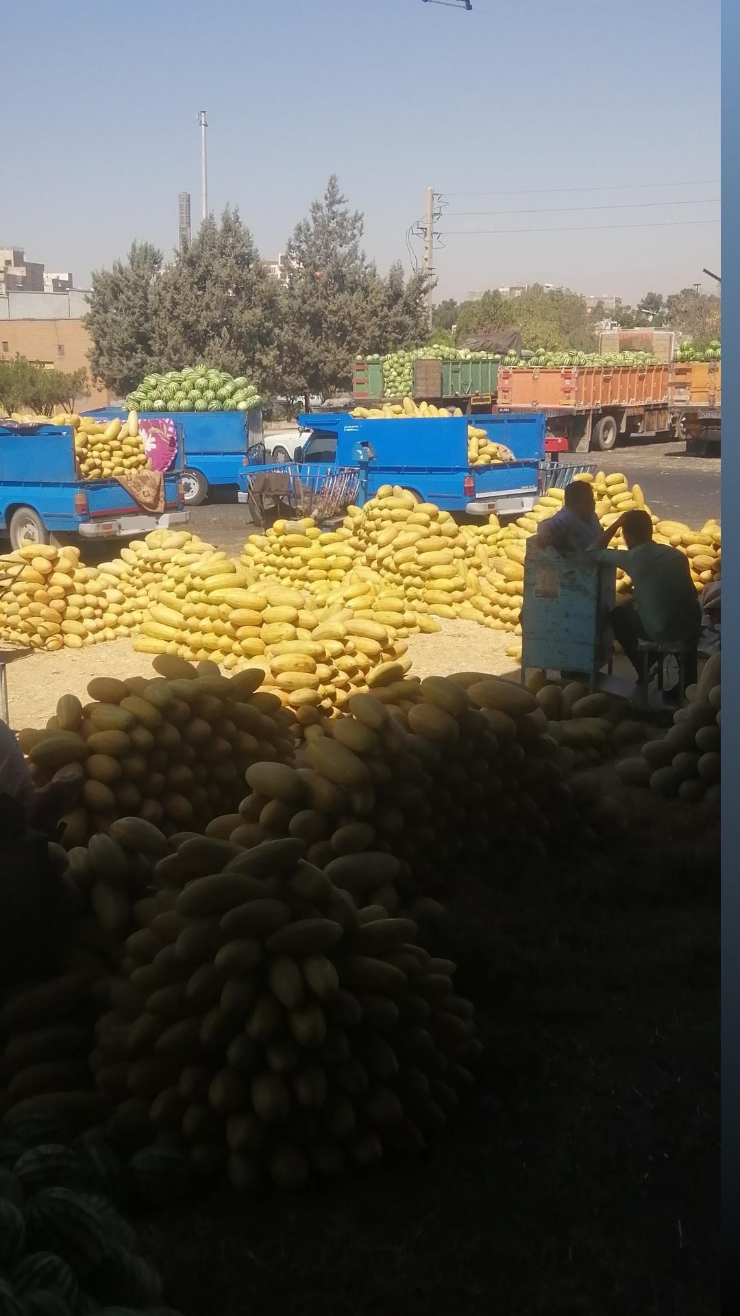 عکس فروشگاه میلاد علیزاده