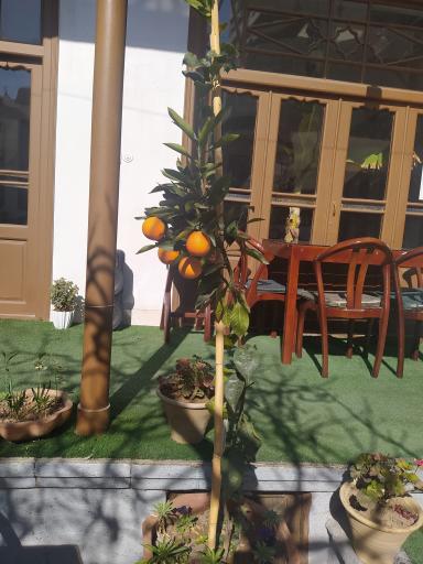 عکس کافه و رستوران مون