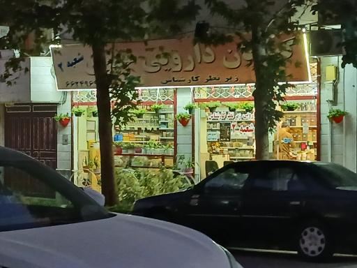 عکس گیاهان دارویی خیری (شعبه‌ی 2)