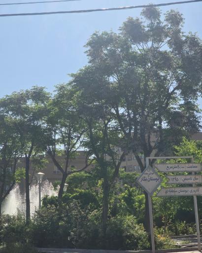 عکس بوستان نگار