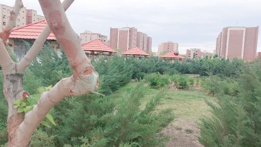 عکس بوستان نگار