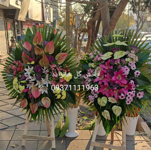 عکس گلفروشی خانزاده 