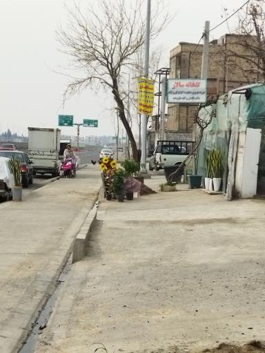 گلخانه سالار