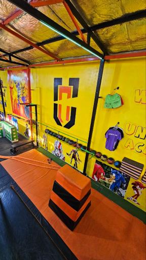 آکادمی پارکور vip آنشیکن تیم