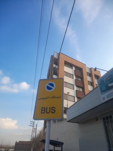 عکس باغ زیار