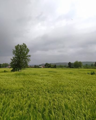 عکس اسلام آباد شاقاجی
