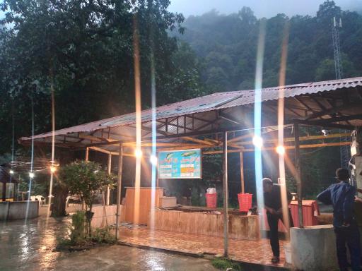 عکس ماهی سالار