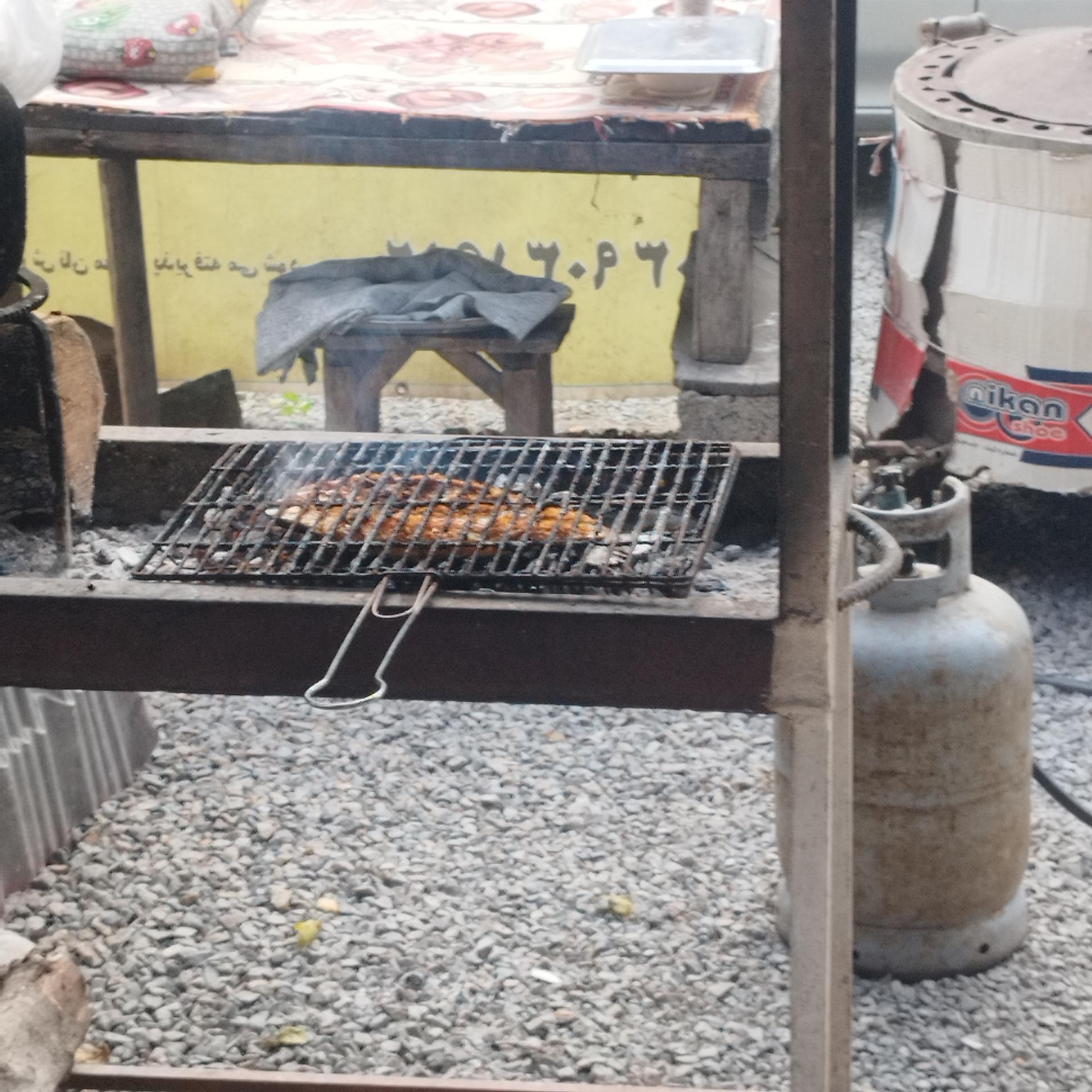 عکس ماهی سالار