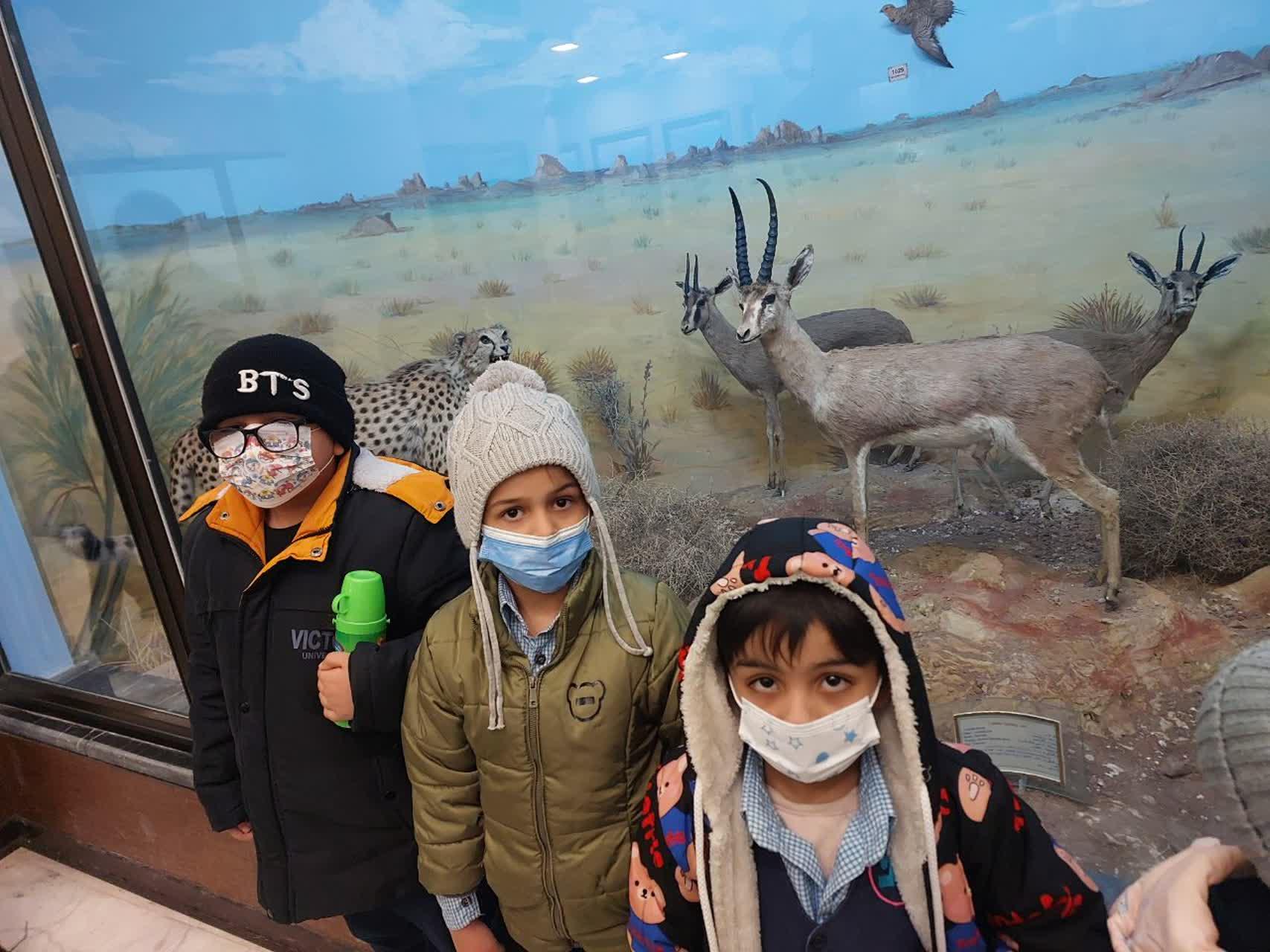 عکس موزه دیرینه شناسی و حیات طبیعی