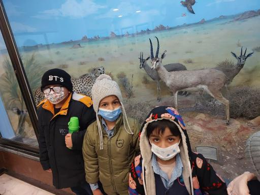 عکس موزه دیرینه شناسی و حیات طبیعی