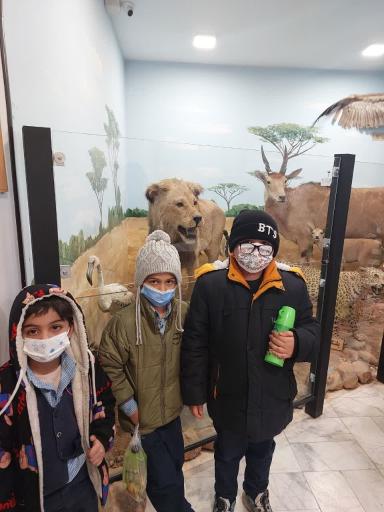 عکس موزه دیرینه شناسی و حیات طبیعی