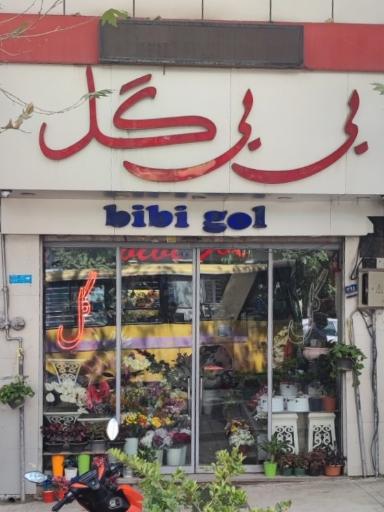 بی بی گل