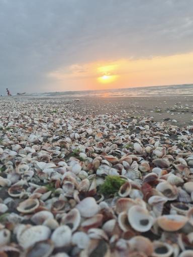 عکس پارک ساحلی شیخ فرهان بندری