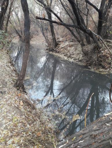 عکس پارک ساحلی آتا