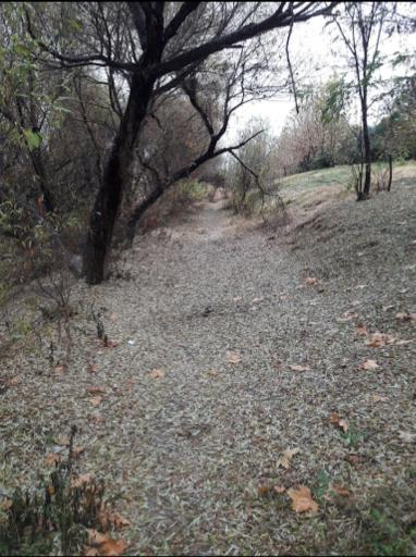 عکس پارک ساحلی آتا