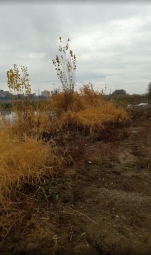 عکس پارک ساحلی آتا