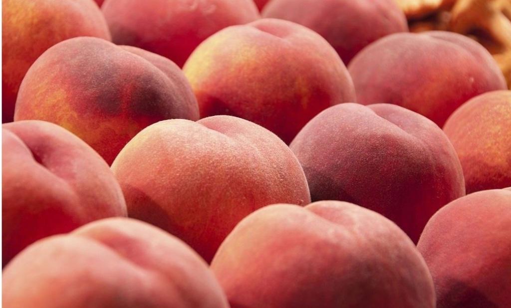 عکس محصولات باغی و زراعی  رعیتی