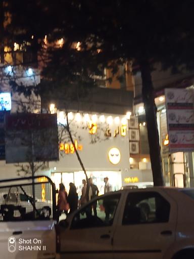 عکس گالری داوود