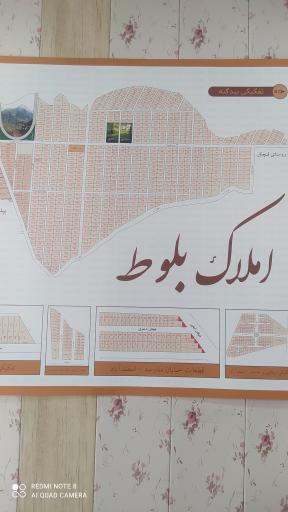 عکس مشاور املاک بلوط