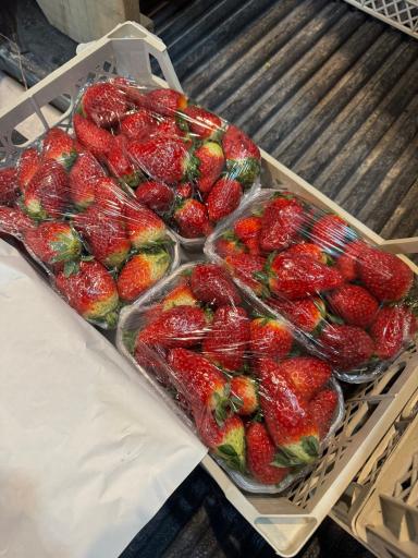 بار فروشی حسین قنبر زاده 