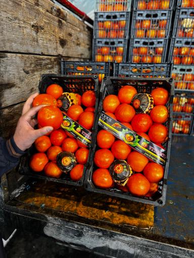 عکس بار فروشی حسین قنبر زاده 