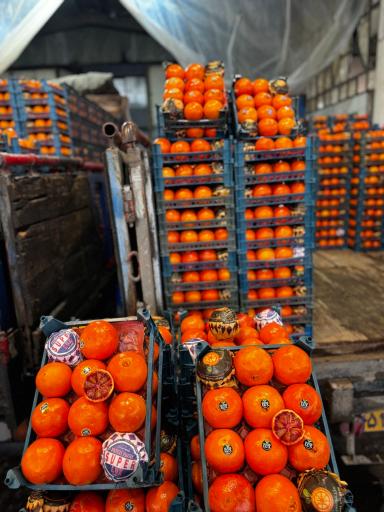 عکس بار فروشی حسین قنبر زاده 