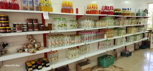 عکس باغ گلاب گیری نگین