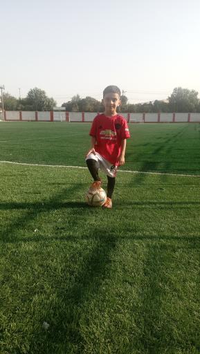 عکس زمین چمن مجموعه ورزشی شهید باباخانی