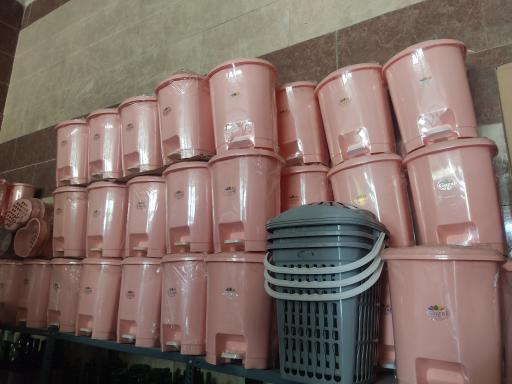 عکس پلاسکو عسگری 