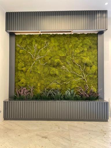 عکس خدمات دیوار سبز بست ماس