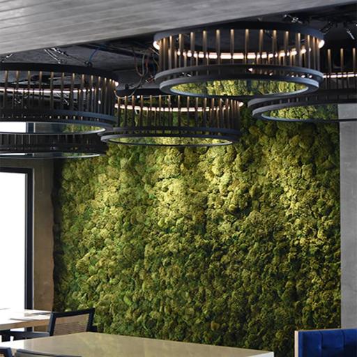 عکس خدمات دیوار سبز بست ماس