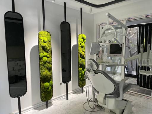 عکس خدمات دیوار سبز بست ماس