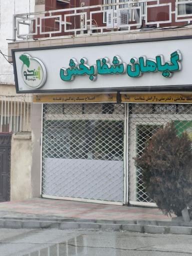 دارو گیاهی ژینکو