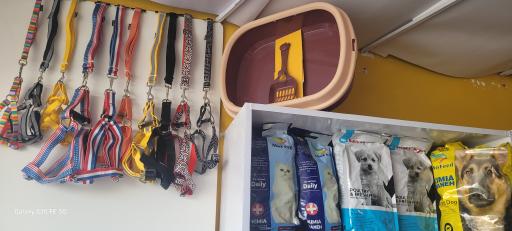 داروخانه دامپزشکی و پت شاپ دکتر سیدان