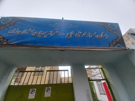 عکس دبستان محمدعلی فلاح