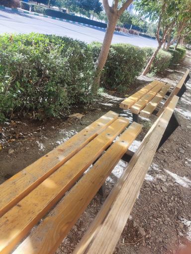 عکس انتهای سجادیه