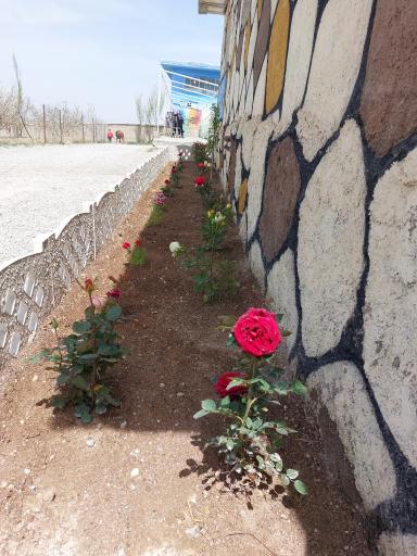 عکس باشگاه اسب سواری یاقوت(ترابیان)