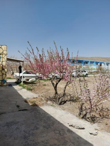 عکس باشگاه اسب سواری یاقوت(ترابیان)