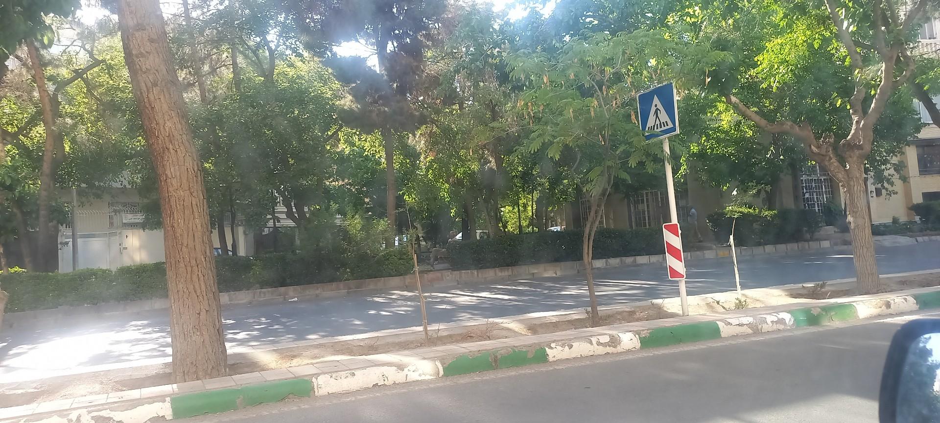 عکس بوستان گل سوسن